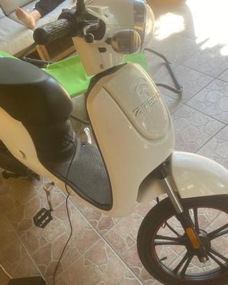 Bici elettrica