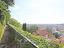 Immagine 8