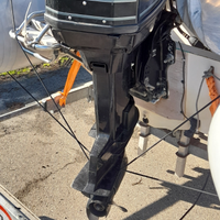 Mercury 60 hp 2 tempi