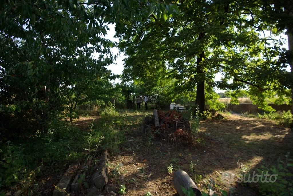 Rustico / Casale di 240 m² con 3 locali e box auto - Vista 5
