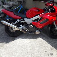 Honda VTR 1000