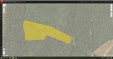 Bosco con accesso pedonale