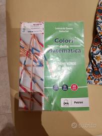 libro di matematica e geometria primo anno itis