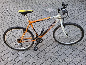 Bici ragazzo