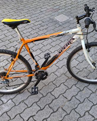 Bici ragazzo