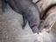 Immagine 3