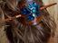 Immagine 2