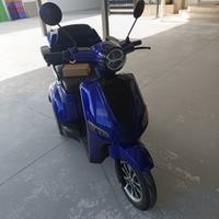 Scooter Tre ruote elettrico disabili