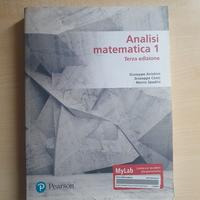 Analisi Matematica 1, Anichini, Conti, Spadini