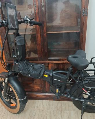 ENGWE EP-2 Pro/Boost Fat Bike + 3 Batterie (79Ah)