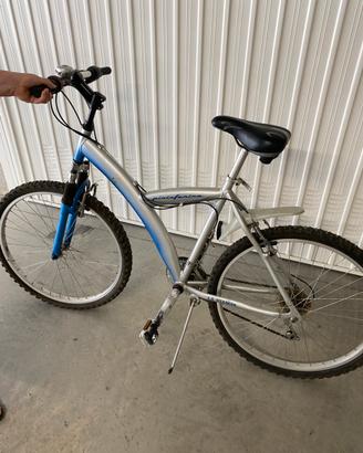 Bicicletta ragazzo/ uomo
