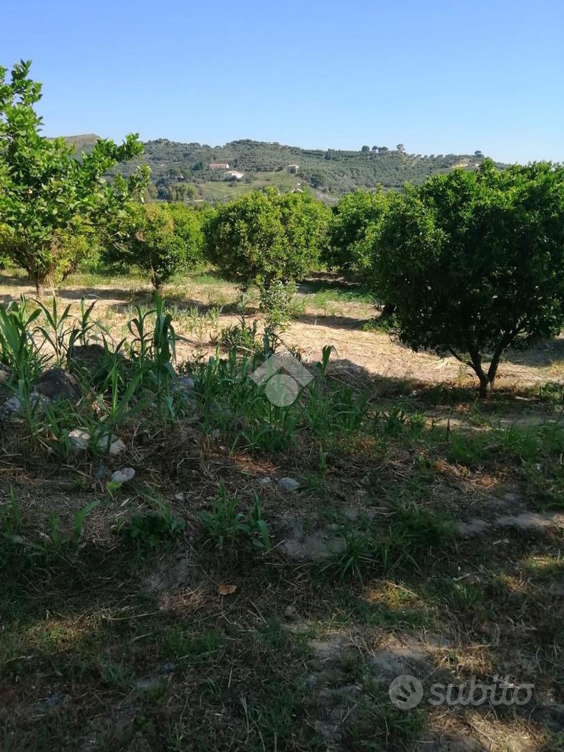 TER. AGRICOLO A SQUILLACE - Altro