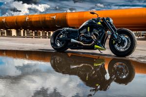 Harley davidson night rod special castomizzata