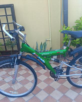 bici verde 