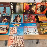 Dischi in vinile 33 giri