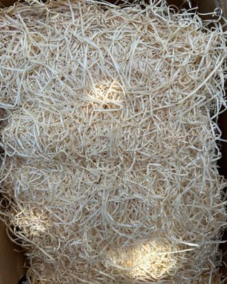 1 Kg Trucioli / Truciolo Legno naturale