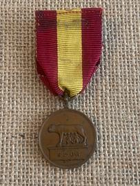 Medaglia bronzo al merito