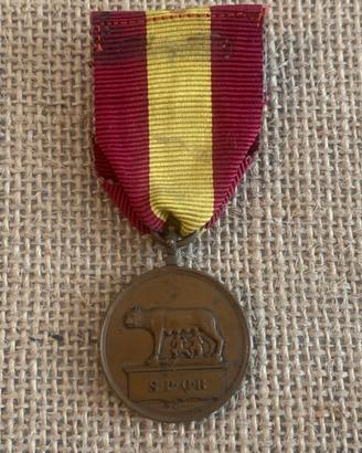Medaglia bronzo al merito