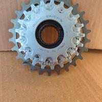 Ruota Regina 7 velocità 