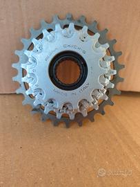 Ruota Regina 7 velocità 