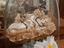 Immagine 2