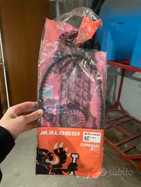 cinghia malossi piaggio