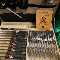 Set coltelli e forchette