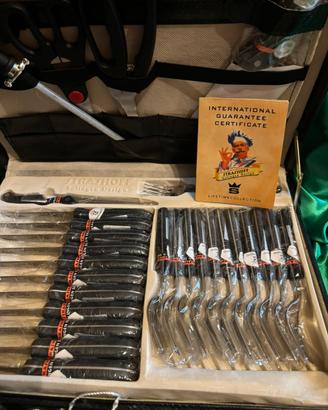 Set coltelli e forchette