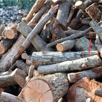 legna in palo