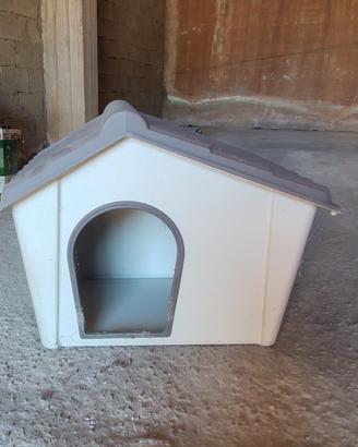 cuccia per cani