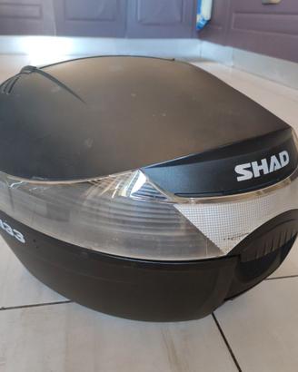Bauletto Shad SH33