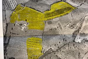 Terreno Agricolo Seminativo Oliveto Imboschimento