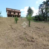 CASA INDIPENDENTE A OGLIASTRO CILENTO