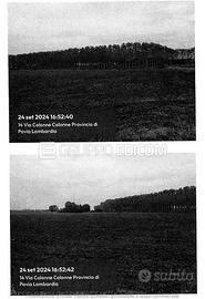 Terreno, Cava Manara.