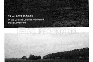 Terreno, Cava Manara.