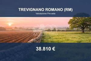 Immobile in asta di 114275 m² a Trevignano Romano