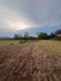 Terreno agricolo Torvaianica Alta