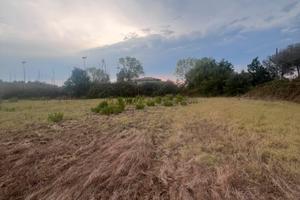Terreno agricolo Torvaianica Alta