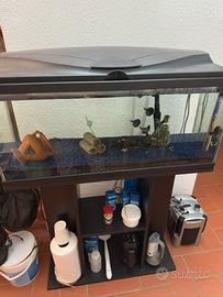 Acquario per pesci