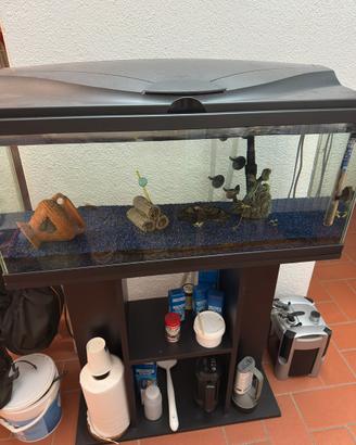Acquario per pesci