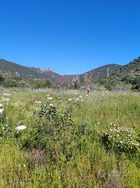 Terreno agricolo a Villasimius