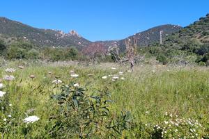 Terreno agricolo a Villasimius