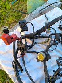 Impianto elettrico Monster 600 '97