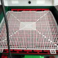 Incubatrice professionale