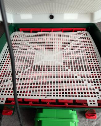 Incubatrice professionale