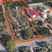 Terreno Edificabile a Lamezia Terme Nicastro