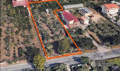 Terreno Edificabile a Lamezia Terme Nicastro