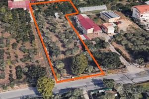 Terreno Edificabile a Lamezia Terme Nicastro