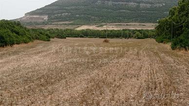 Grande terreno a Guardia Grande