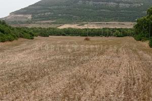 Grande terreno a Guardia Grande